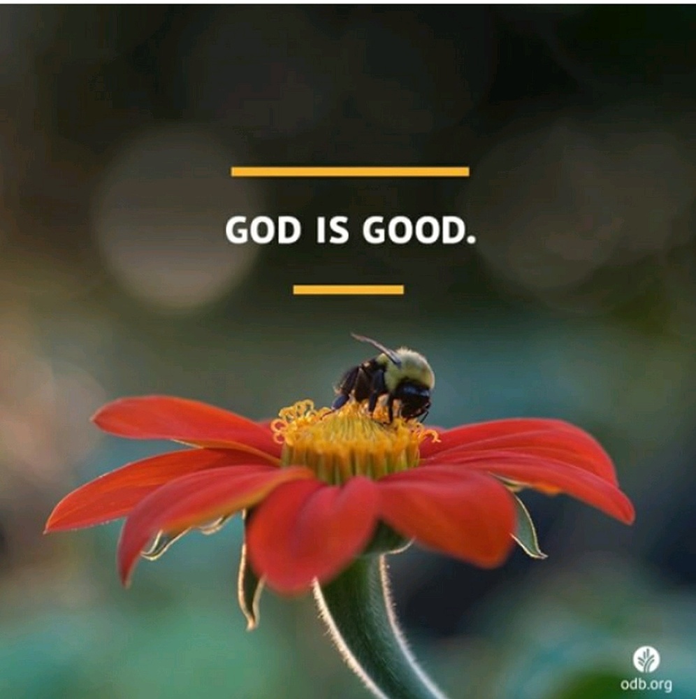 Meet your Posher, Iza